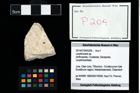 Foto (Objekt + Etikett) von Lecythocaris sp.  (NHMW-GEO-2014-0194-0209)